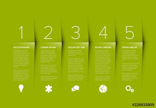 5 Section Infographic Layout - 226833809 » GFxtra