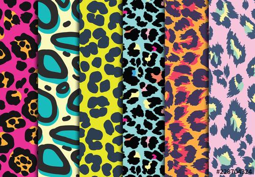 Animal Print Pattern Set - 228704324 - 228704324