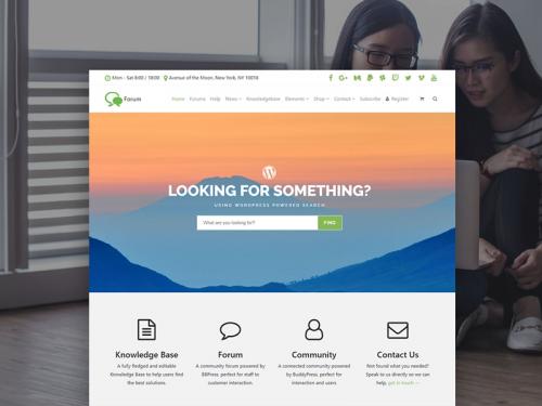 Forum WordPress Theme - Community Site Builder - forum-wordpress-theme-community-site-builder