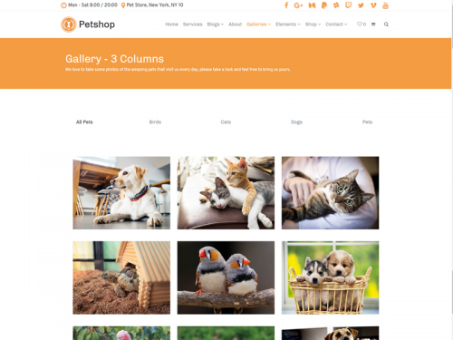 Gallery 3 Columns - Petshop WordPress Theme - gallery-3-columns-petshop-wordpress-theme
