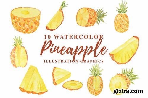 Watercolor Illustration Pack