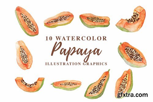 Watercolor Illustration Pack