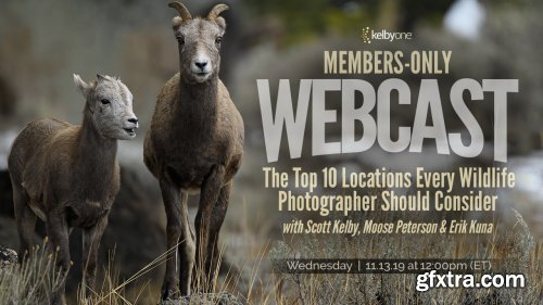 KelbyOne - The Top 10 Locations Every Wildlife Photographer Should Consider