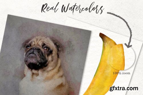 CreativeMarket - 75 Procreate Watercolor Brush Bundle 4313003