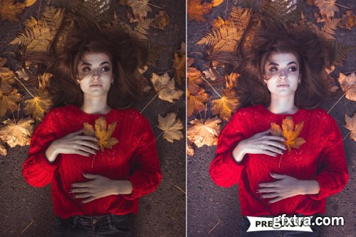 CreativeMarket - Autumn Lightroom Presets 4162313