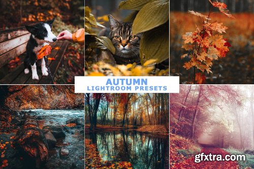 CreativeMarket - Autumn Lightroom Presets 4162313