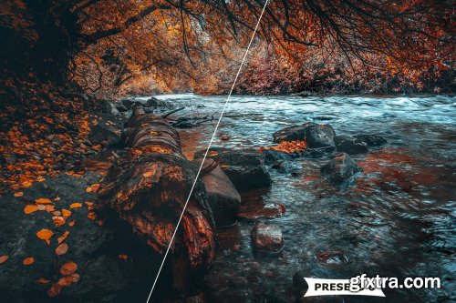 CreativeMarket - Autumn Lightroom Presets 4162313