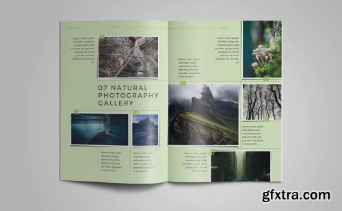 InDesign Magazine Template