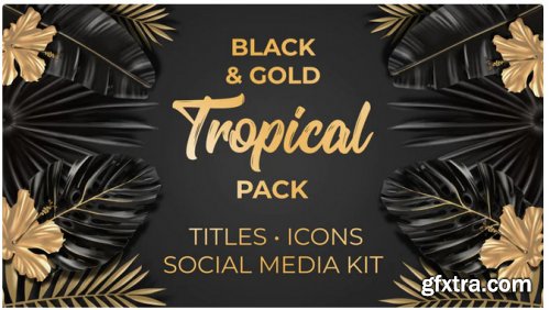 Black And Gold Tropical Pack - After Effects 314429