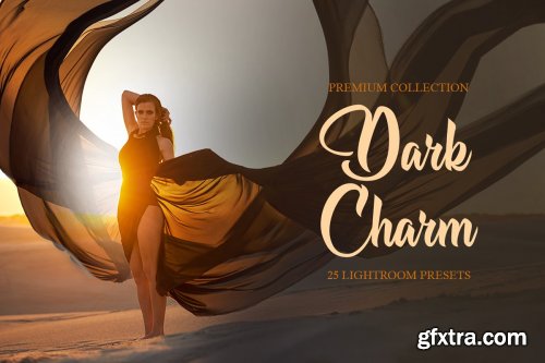 CreativeMarket - Dark Charm Presets for Lightroom 4287489