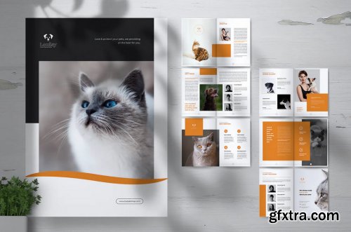 LOSI Pet Shop Business Brochure