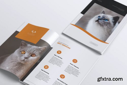 LOSI Pet Shop Business Brochure