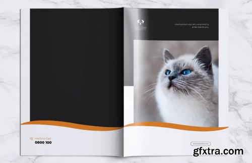 LOSI Pet Shop Business Brochure