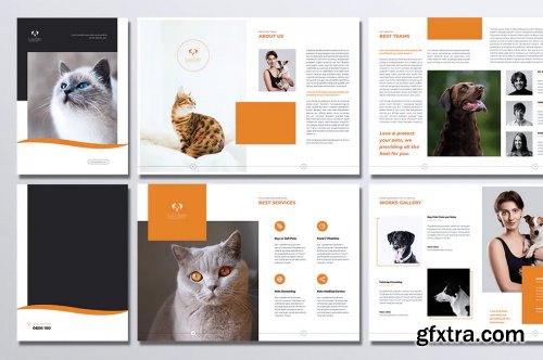 LOSI Pet Shop Business Brochure