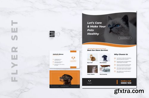 LOSI Pet Shop Business Flyer & Business Card