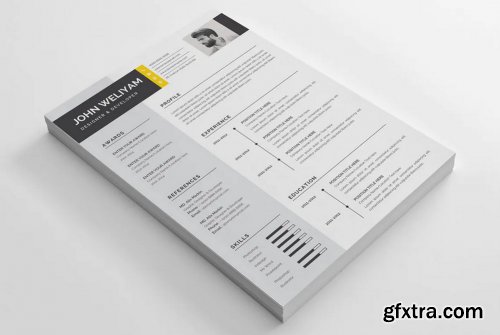 Professional and Modern CV / Resume Template