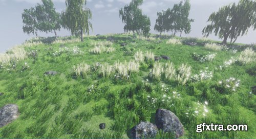 Dynamic Nature - Starter v1.9