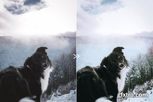 CreativeMarket - Vibrant SNOW DAY Lightroom Presets 4331998