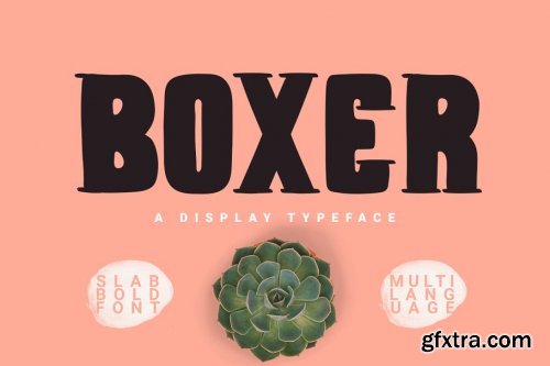 CreativeMarket - The Bold Font Bundle 4366086