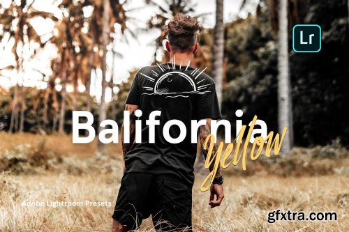 CreativeMarket - Balifornia Presets - Yellow 4338145