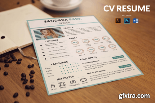 CV Resume Simple And Clean