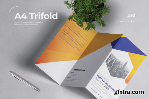 Business Trifold Brochure 2