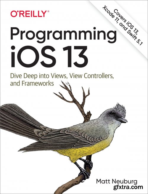 Programming iOS 13: Dive Deep into Views, View Controllers, and Frameworks 