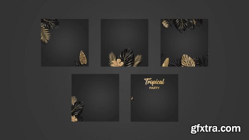 Black And Gold Tropical Pack 14035096