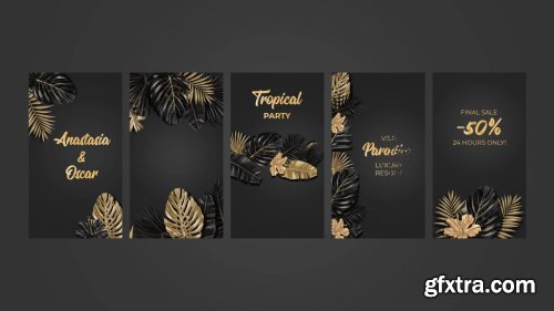 Black And Gold Tropical Pack 14035096