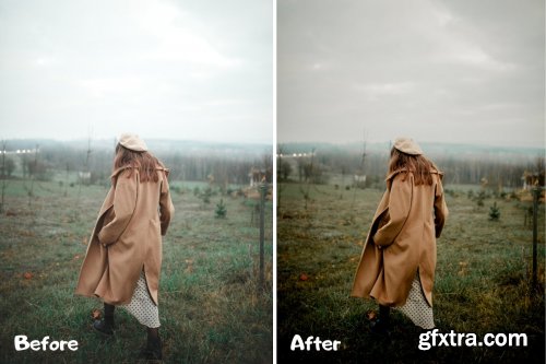 CreativeMarket - True Tone Lightroom Presets 4320262