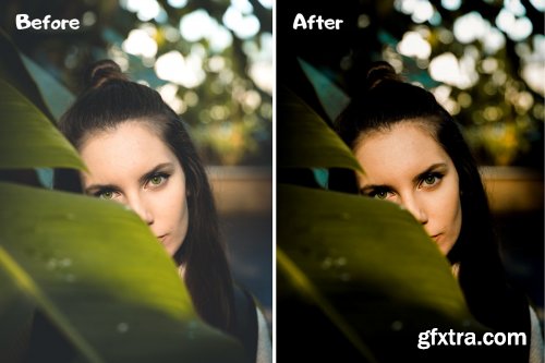 CreativeMarket - True Tone Lightroom Presets 4320262