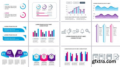 Videohive Infographics №5 25174622