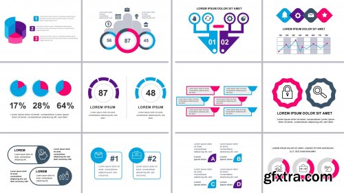 Videohive Infographics №5 25174622