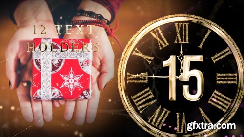 Videohive New Year Countdown 25263643