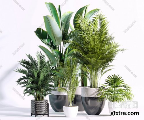 Modern potted plant 05 3D model