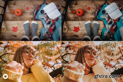 CreativeMarket - 66. Fall Again 4355070