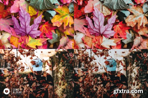 CreativeMarket - 66. Fall Again 4355070