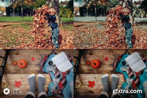 CreativeMarket - 66. Fall Again 4355070