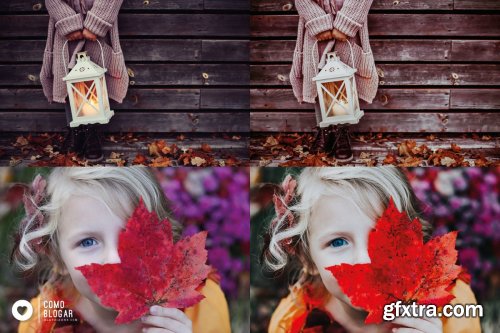 CreativeMarket - 66. Fall Again 4355070