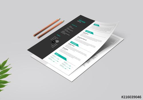 Resume Layout Set with Teal Tab Elements - 216039046 - 216039046