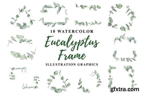 10 Watercolor Eucalyptus Frame Illustration