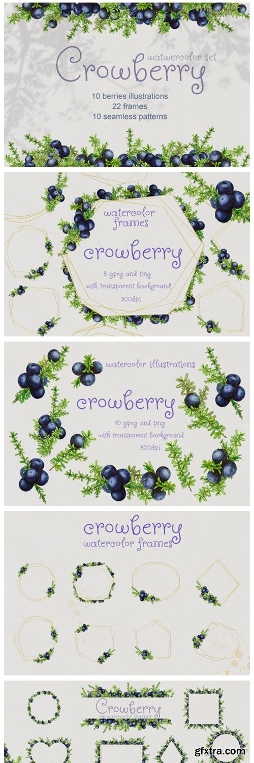 Crowberry. Watercolor Set Illustrations 2128826