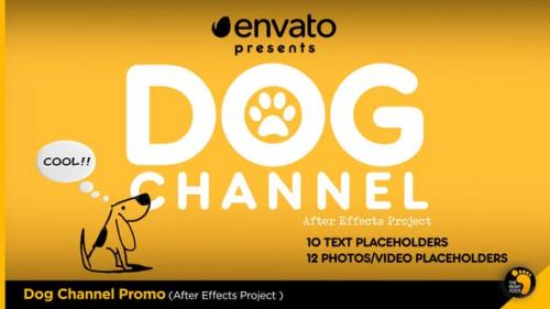 Videohive - Dog Channel Broadcast Pack