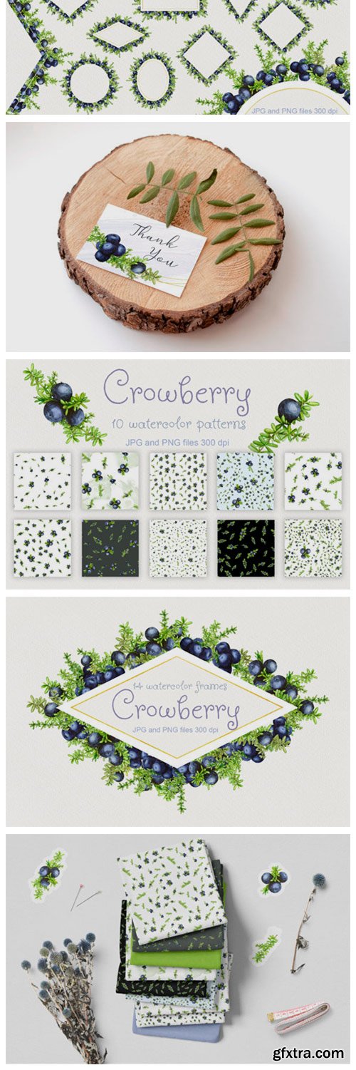 Crowberry. Watercolor Set Illustrations 2128826