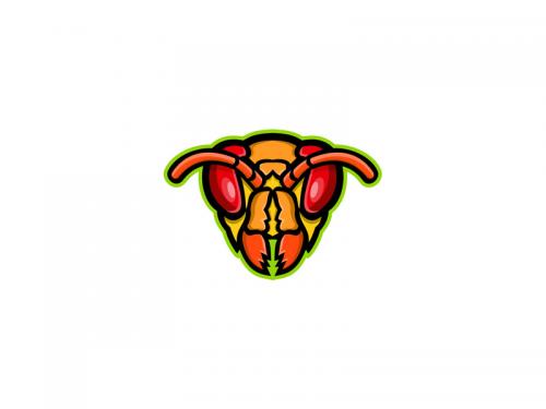 Hornet Head Mascot - hornet-head-mascot-383a31ad-7ae0-40e4-98ba-cb1c50c85224