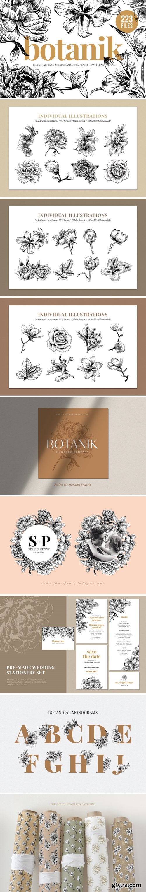 Floral & Botanical Illustration Bundle 2396851