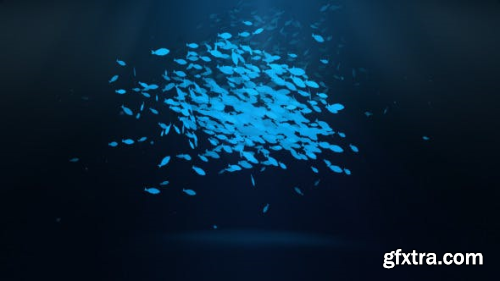 VideoHive School Of Fish Logo Reveal 11770341