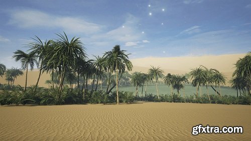 Desert Oasis