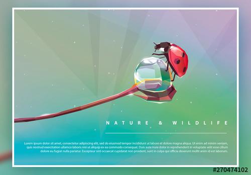 Geometric Natural Illustration Poster Layout with Ladybug - 270474102 - 270474102