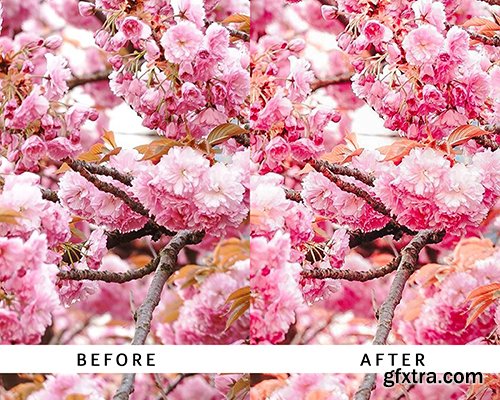 CreativeMarket - 15 Lightroom Presets PRIMARY PACK 4372916